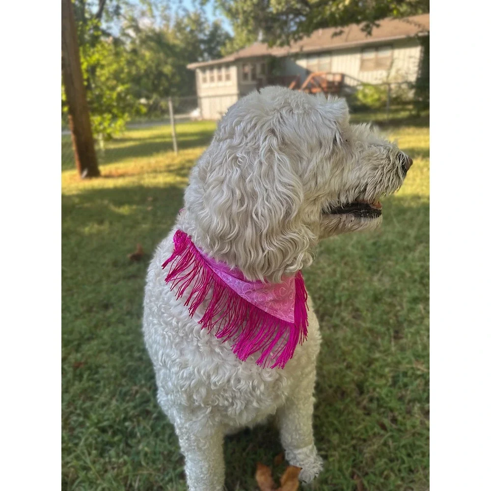 Disco Cowgirl Pink Glitter Fringe Dog Bandana Handmade Western Pet Accessory